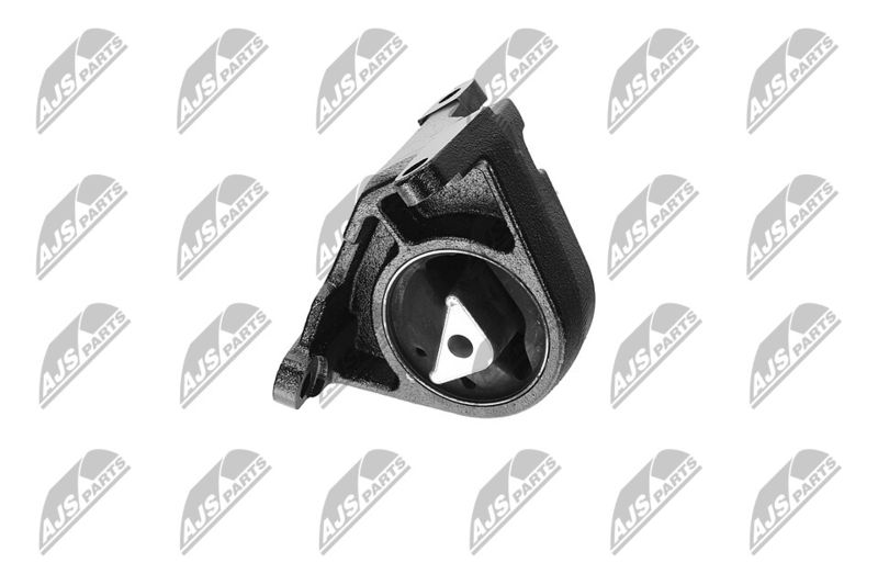 Paigutus, Mootor, NTY ZPS-CH-087