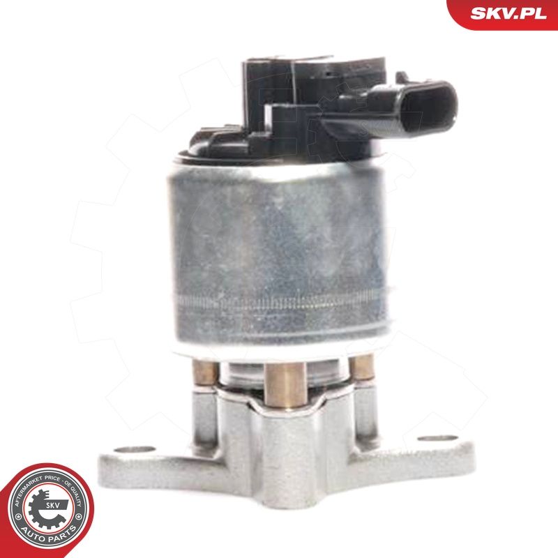 EGR-klapp, ESEN SKV 14SKV017