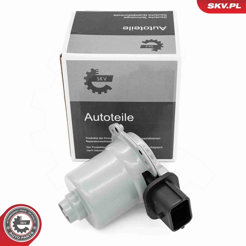 ESEN SKV 96SKV967 - Clutch Control System