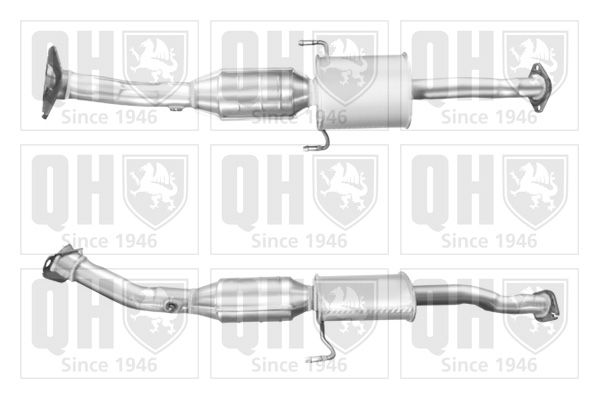 QH_QCAT92353H.JPG