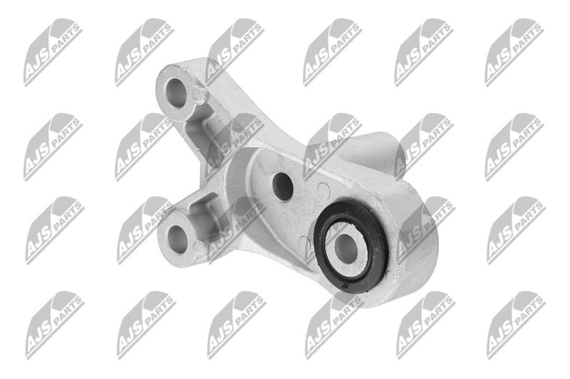 Paigutus, Mootor, NTY ZPS-CH-122