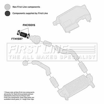 FTH1587_1101699.JPG