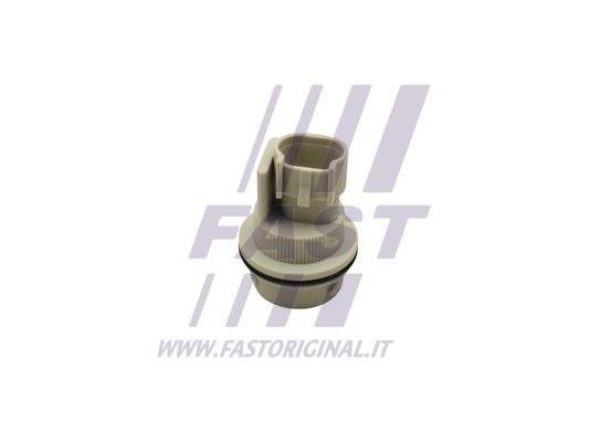 FT76701_2_1.JPG