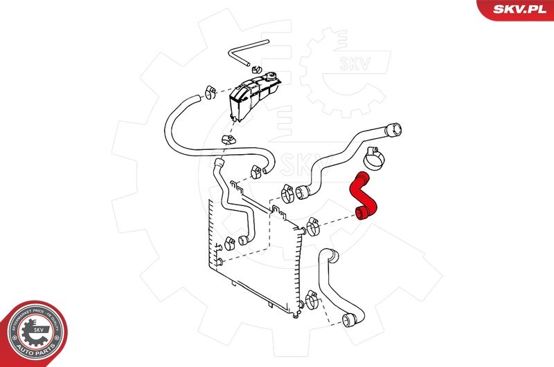 Шланг радіатора, Skv Germany 24SKV296