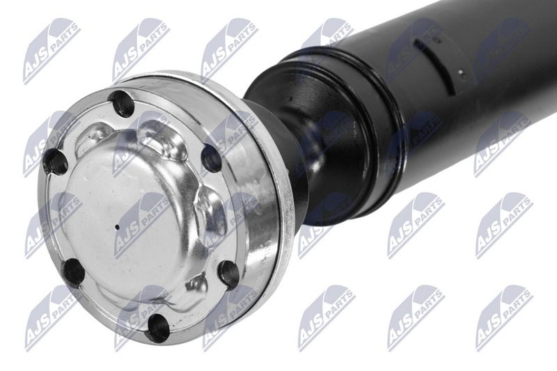 AX CARDANIC ANTRENAREA ARBORELUI NTY NWNLR045 1