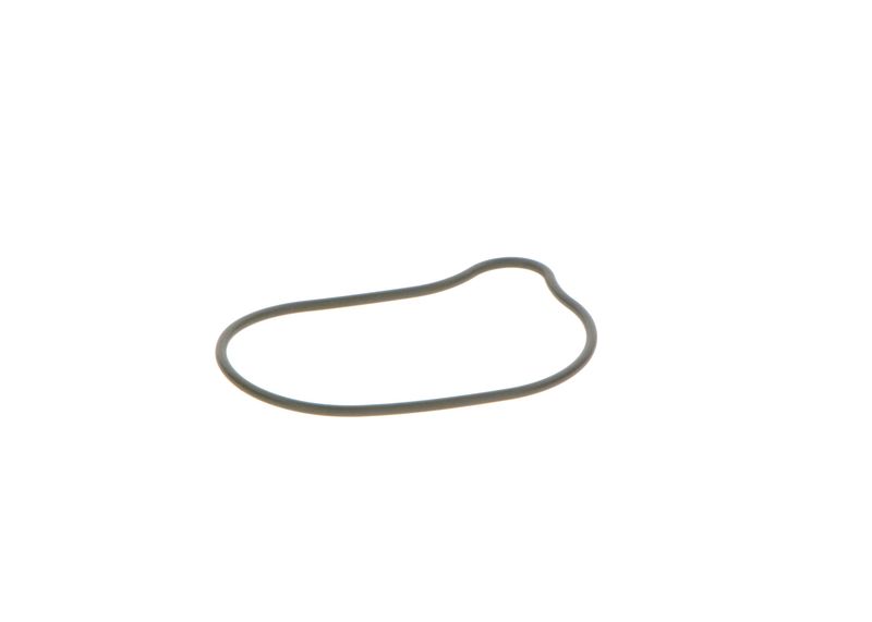 BOSCH 2440210028 Rubber Ring