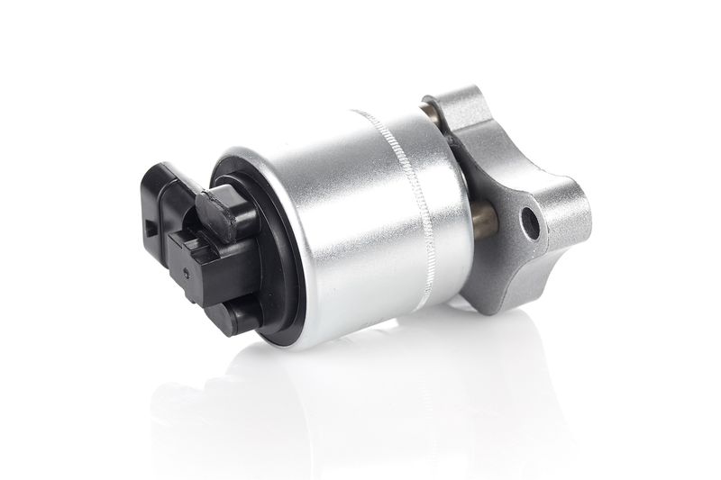 NISSENS 98153 EGR vožtuvas