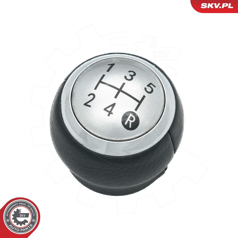 Käigukanginupp, ESEN SKV...