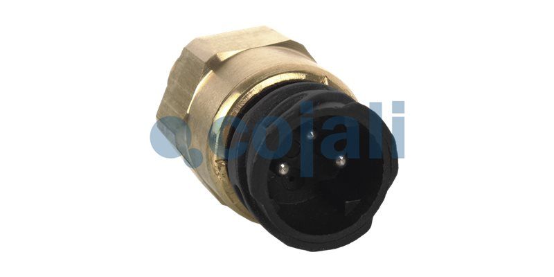 Senzor COJALI 2260282