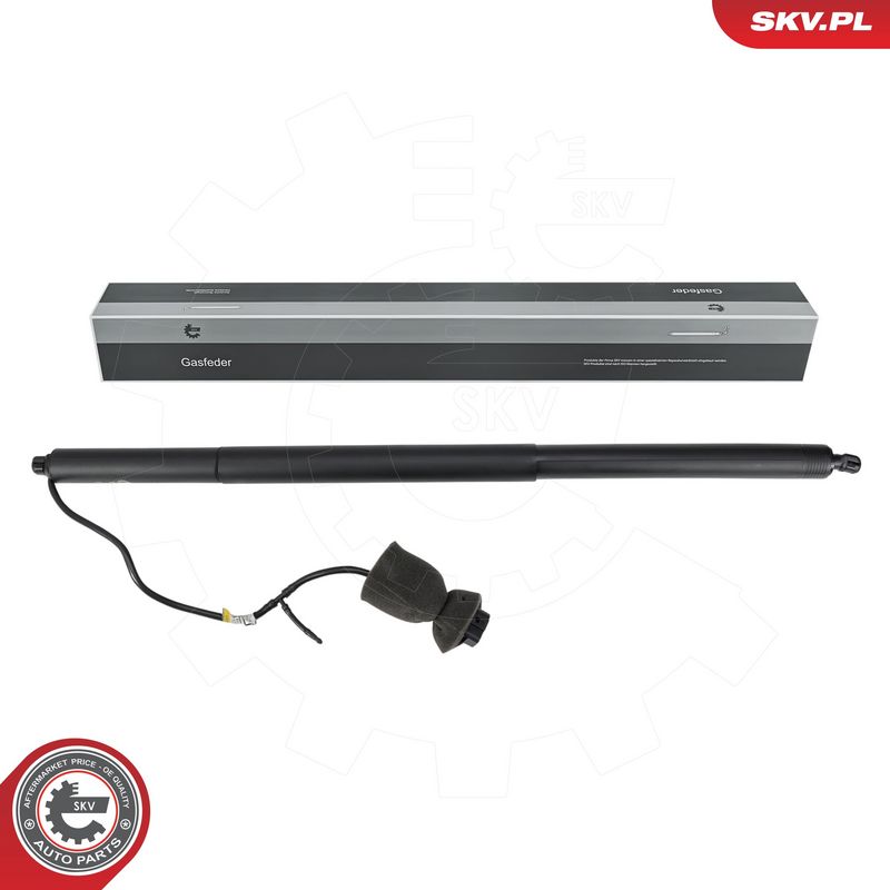 Elektrimootor, tagaluuk, ESEN SKV 52SKV891
