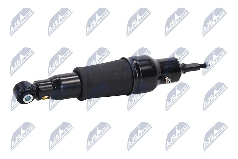 Amort, NTY A-NS-051