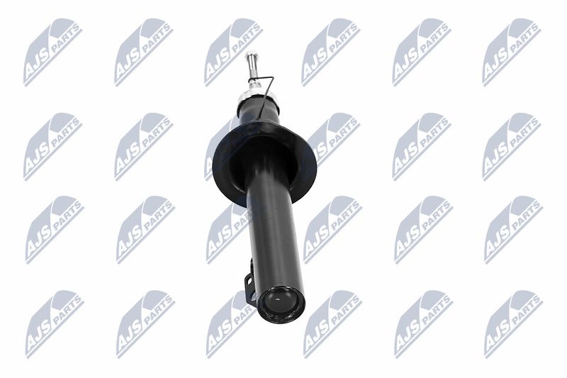Amort, NTY A-CH-065