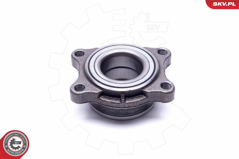 ESEN SKV 29SKV489 Wheel Bearing Kit