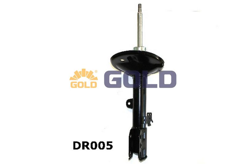 GDR005_2.JPG