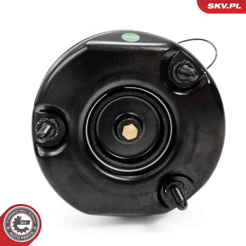 ESEN SKV 58SKV723 Air Suspension Strut