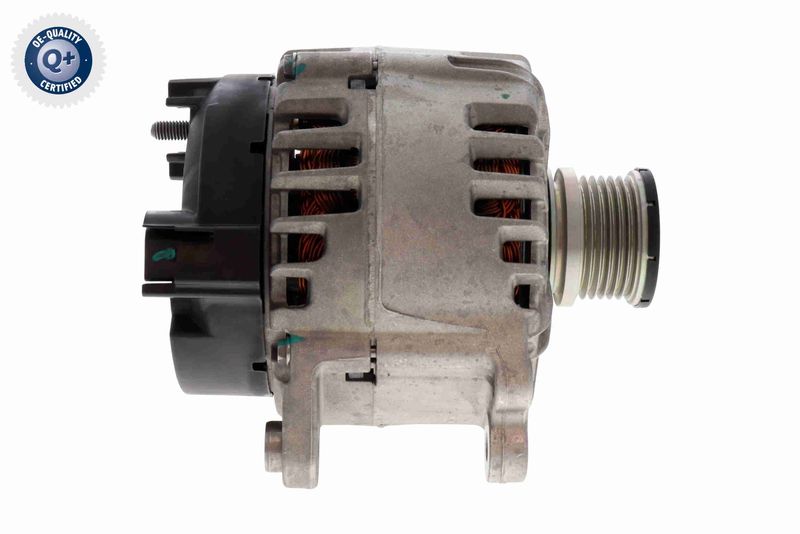 V10-13-50124_04.JPG