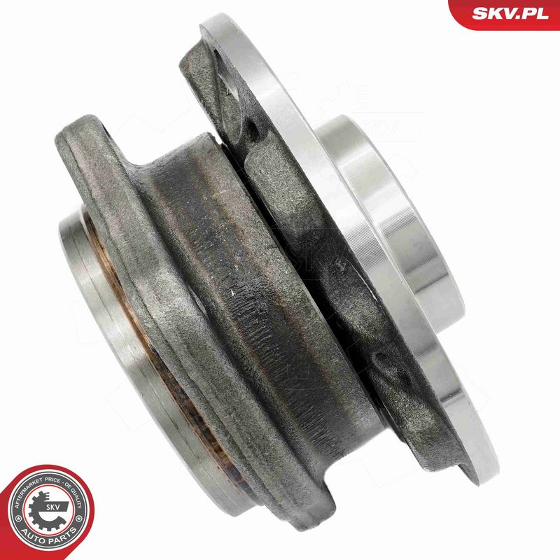 ESEN SKV 29SKV623 Wheel Bearing Kit