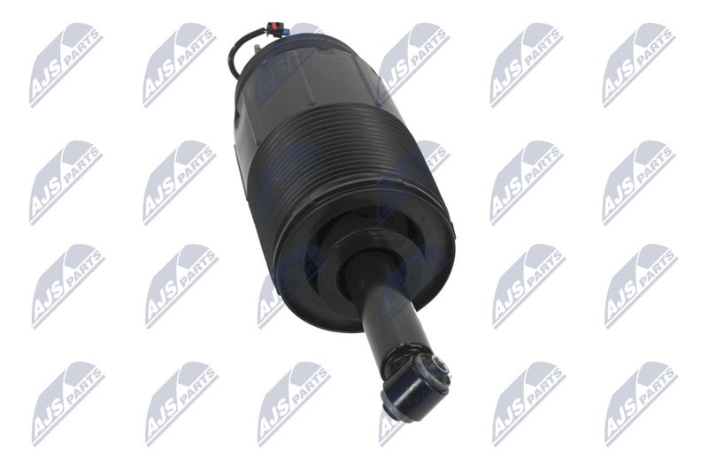 Amort, NTY A-CH-099