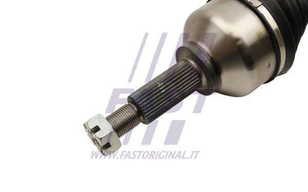FT27186_4_1.JPG