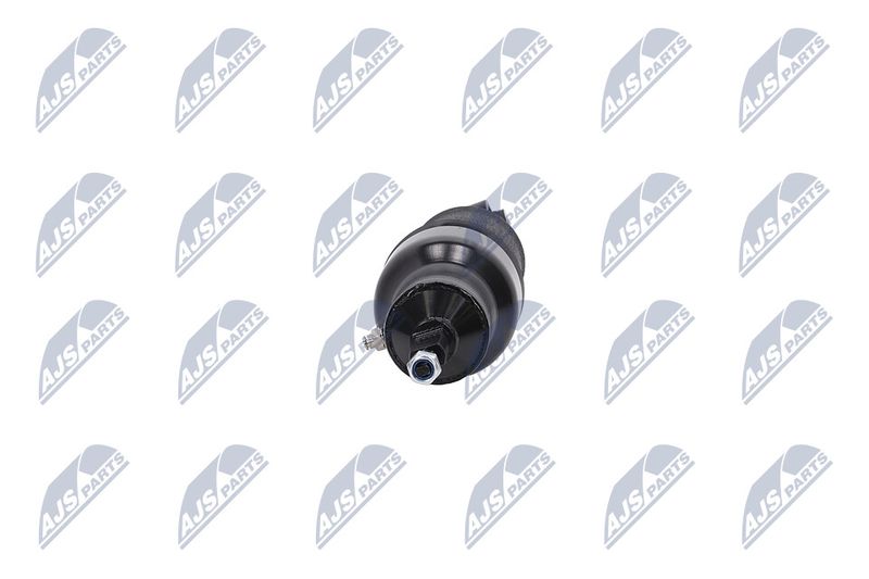 Amort, NTY A-NS-051