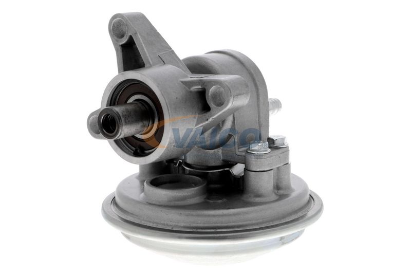 VAICO V25-1908 Mounting, engine
