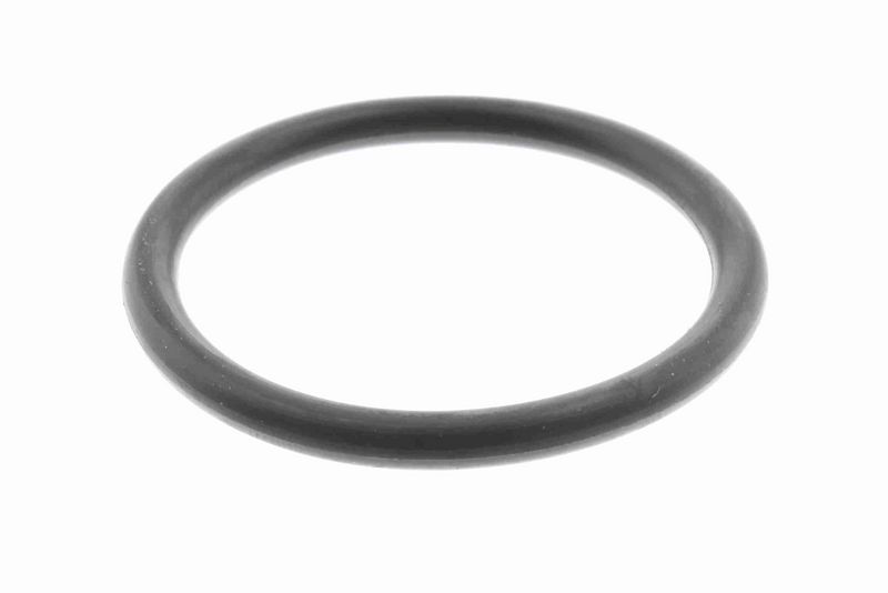 ACKOJA A70-0301 Fuel Filter