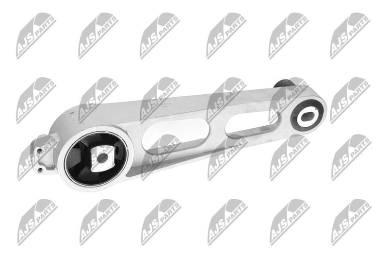 Paigutus, Mootor, NTY ZPS-CH-011