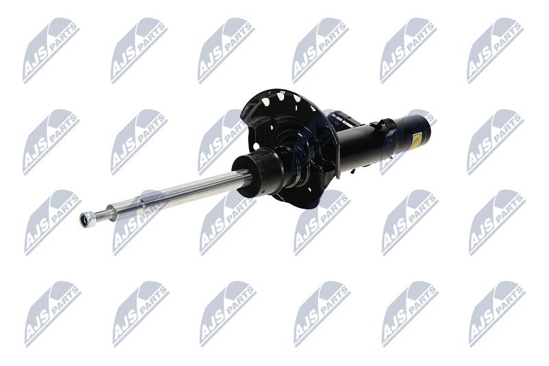 Amort, NTY A-LR-033