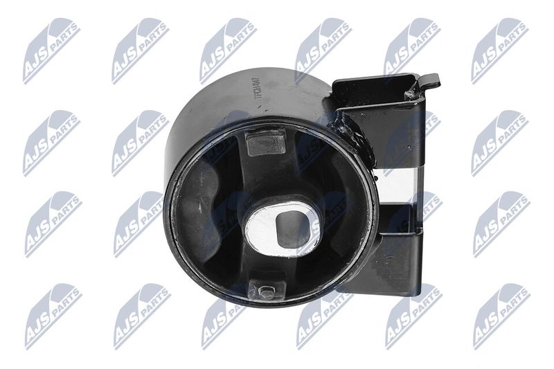 Paigutus, Mootor, NTY ZPS-CH-047