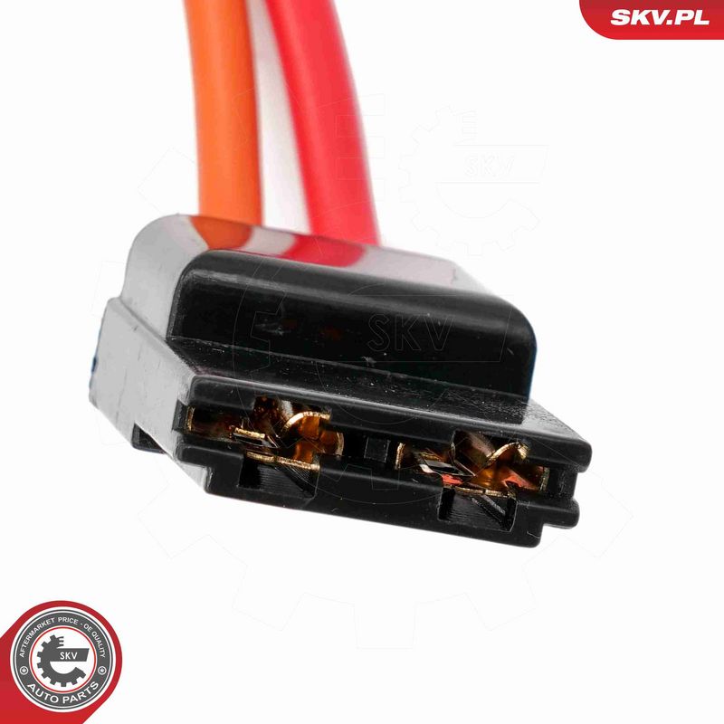 ESEN SKV 65SKV204 Steering Lock