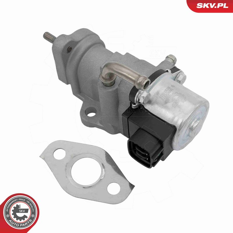 ESEN SKV 14SKV319 EGR Valve