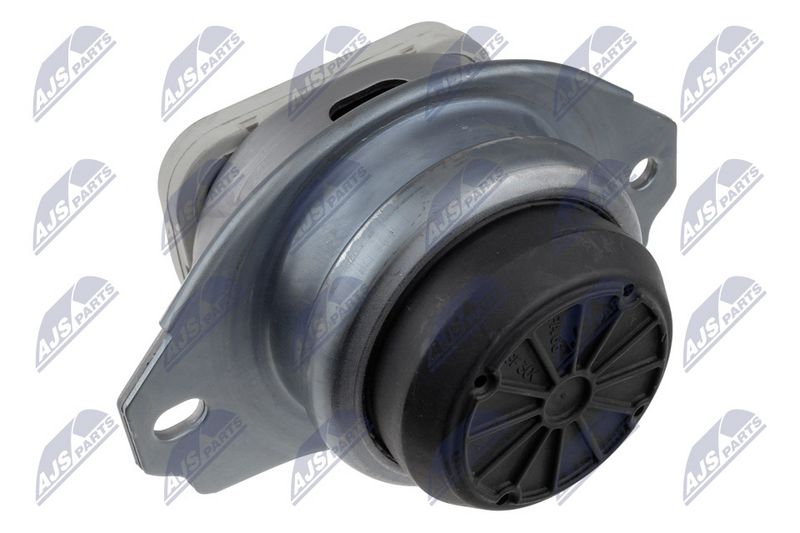 Paigutus, Mootor, NTY ZPS-LR-019