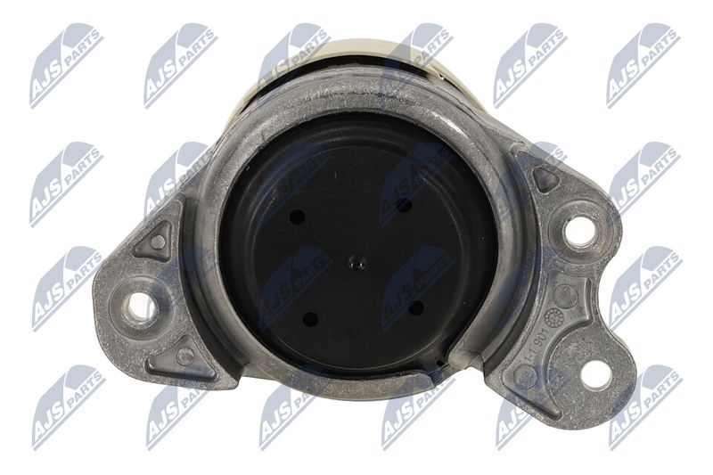 Paigutus, Mootor, NTY ZPS-ME-020