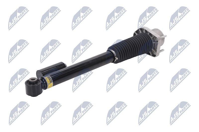 Amort, NTY A-LR-020