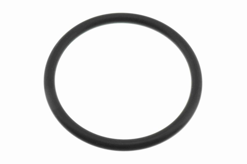 VAICO V46-1557 Housing, air filter