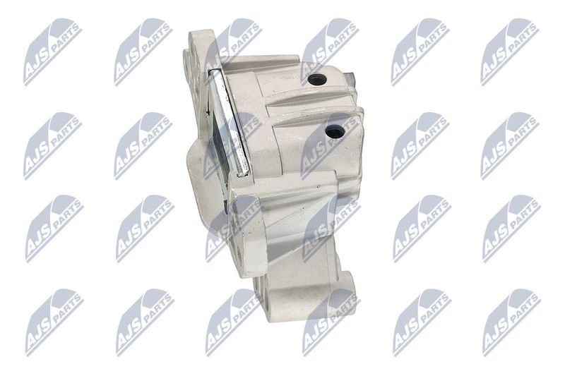 Paigutus, Mootor, NTY ZPS-CH-164