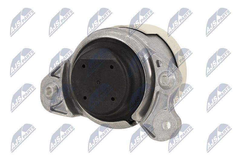 Paigutus, Mootor, NTY ZPS-ME-079