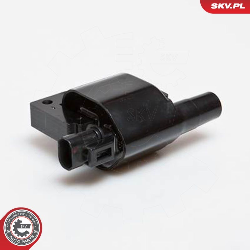 Süütepool, ESEN SKV 03SKV089