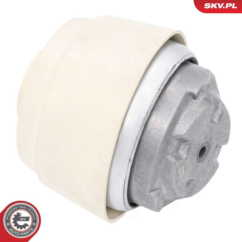 Paigutus, Mootor, ESEN SKV 75SKV001