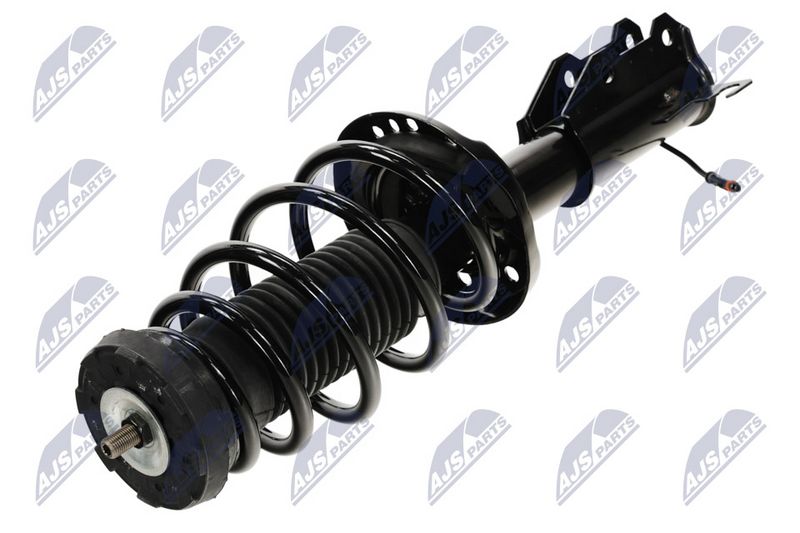 Amort, NTY A-PL-063