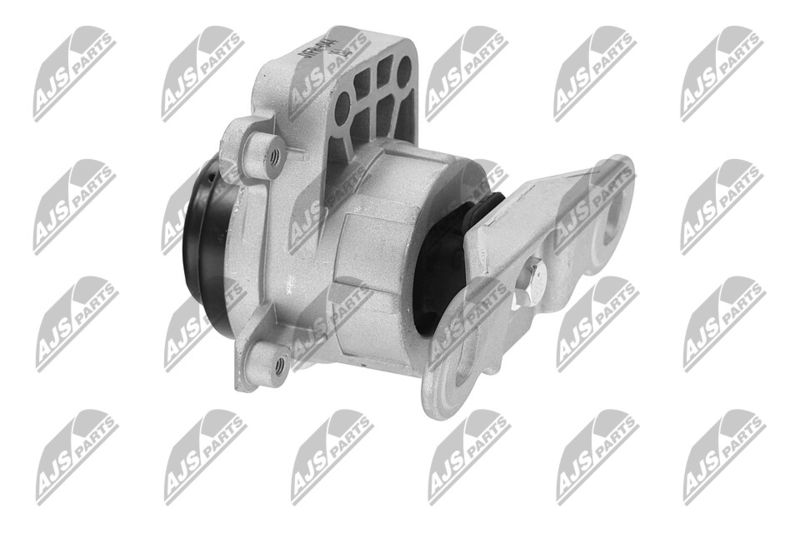 Paigutus, Mootor, NTY ZPS-FR-044