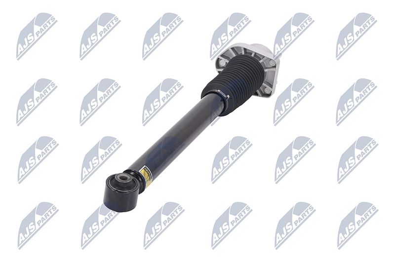 Amort, NTY A-LR-015