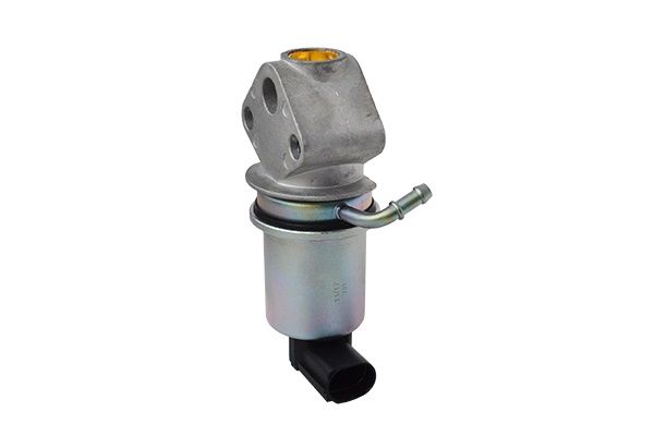 ASAM AUTOMOTIVE 74219 ERG Valve