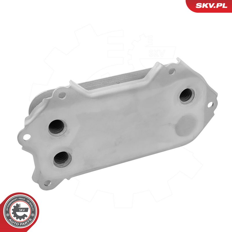 Prekės atitinka OEM kodą: 157100R010