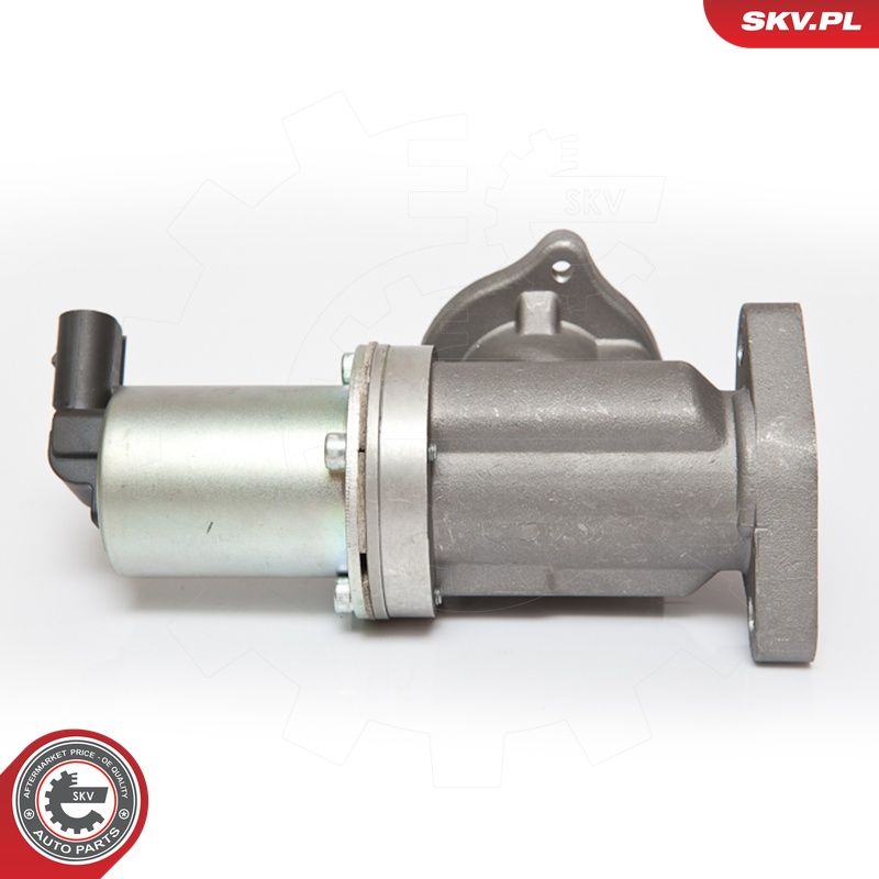 EGR-klapp, ESEN SKV 14SKV054