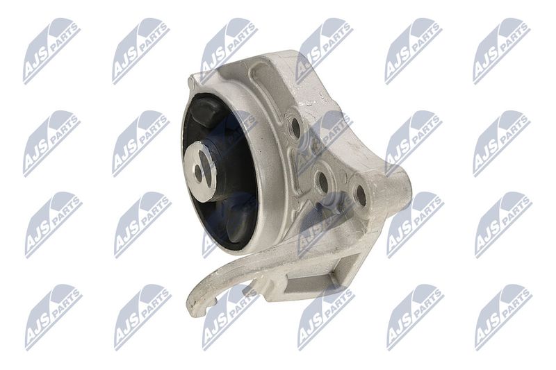 Paigutus, Mootor, NTY ZPS-CH-113