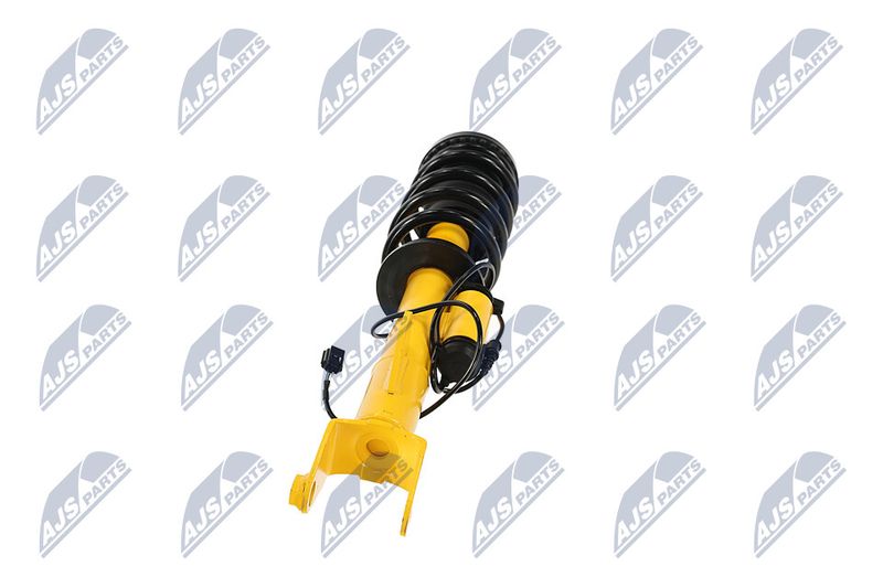 Amort, NTY A-CH-122