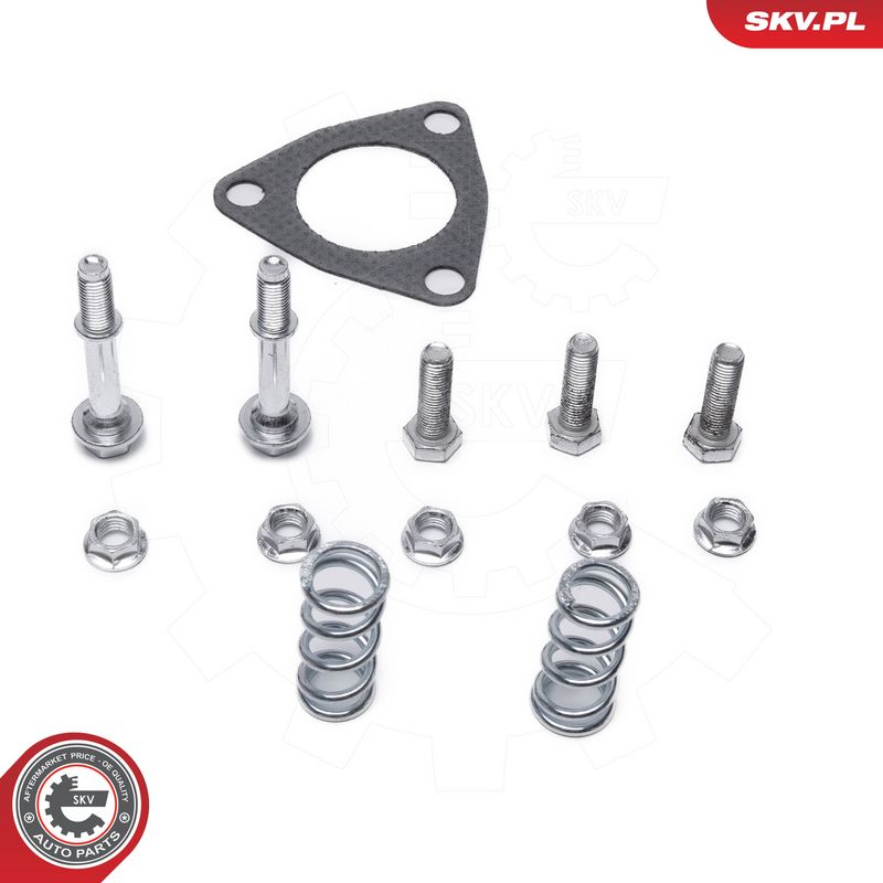Katalüsaator, ESEN SKV 62SKV020