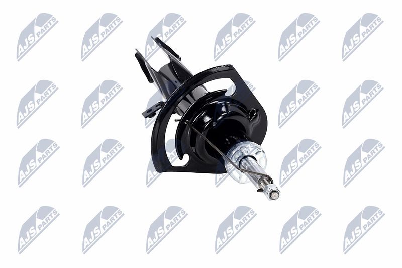 Amort, NTY A-CH-057