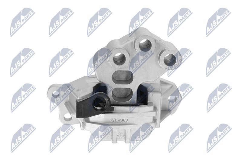 Paigutus, Mootor, NTY ZPS-CH-134